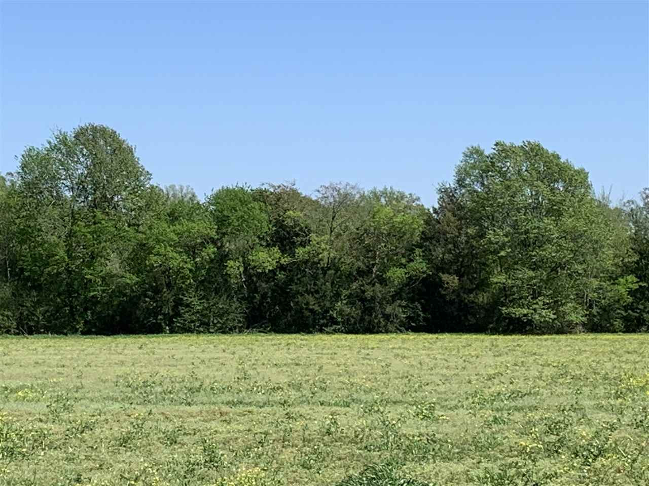 0 Smith-Carr Road, Unit 7B Canton, MS 39046 - Photo 3 of 5 Photo 3