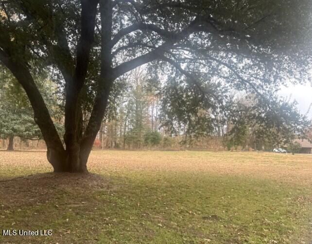 7 Rolling Hill Road Vicksburg, MS 39183 - Photo 2 of 22 Picture23