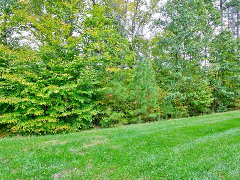 128 Cedar Elm Road Durham, NC 27713 - Photo 25 of 25 Yard