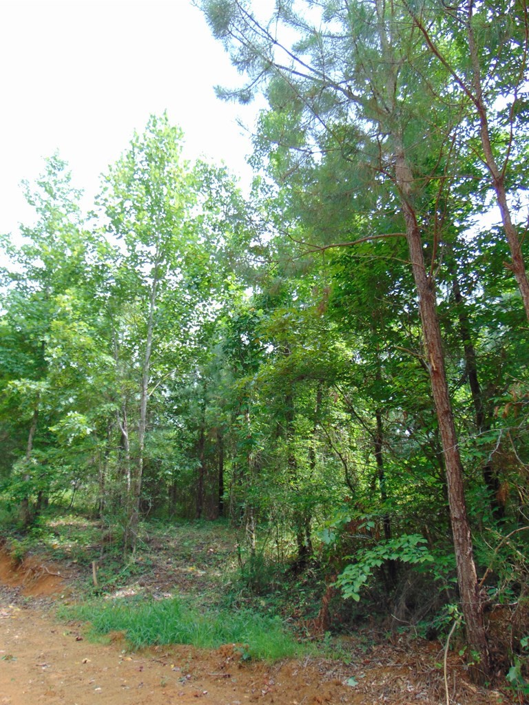 0 Pinhook Road Delano, TN 37325 - Photo 16 of 35