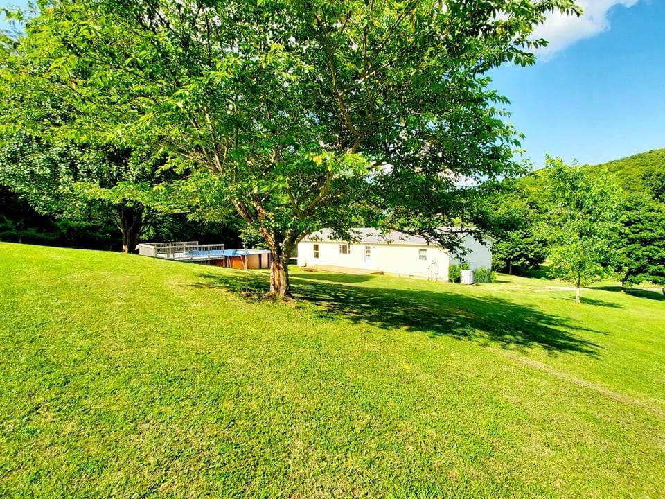 500 Shannons Branch Road Cedar Bluff, VA 24609 - Photo 11 of 49 Gallery Image 11