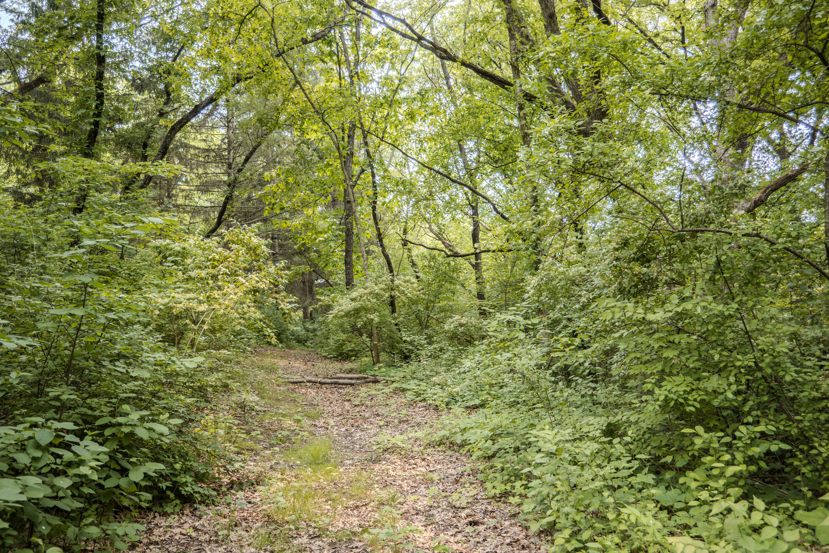 7853 Shaw Road Belvidere, IL 61008 - Photo 27 of 33 Gallery Image 27