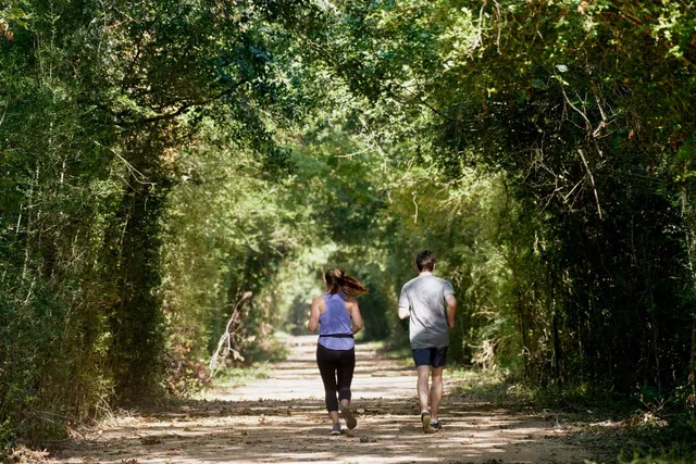 $387,515 | 21203 Teal Lovegrass Lane, Cypress, TX 77433