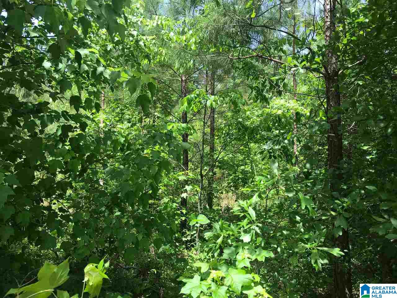 Firehouse Road, Unit 21 Goodwater, AL 35072 - Photo 15 of 21