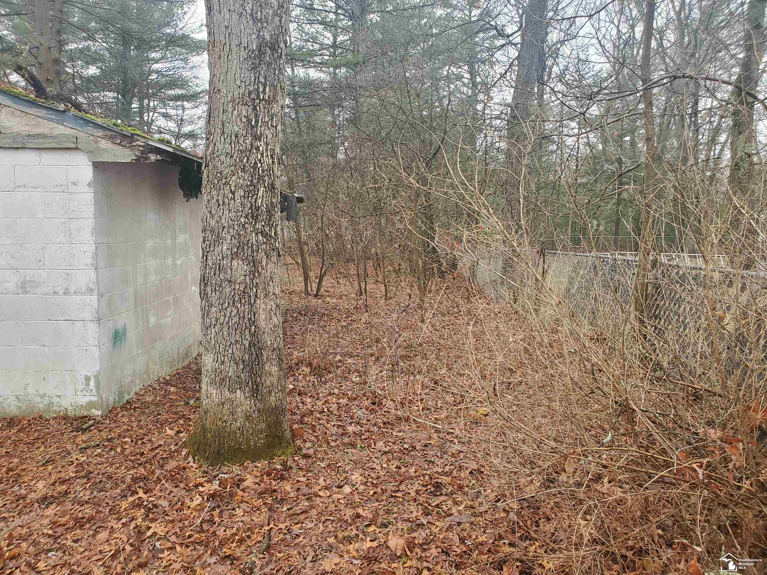 5985 Automobile Road Twin Lake, MI 49457 - Photo 29 of 56 50122402-3db6c6ea-d3cb-485a-a875-fb763a8f9ae5.JPG