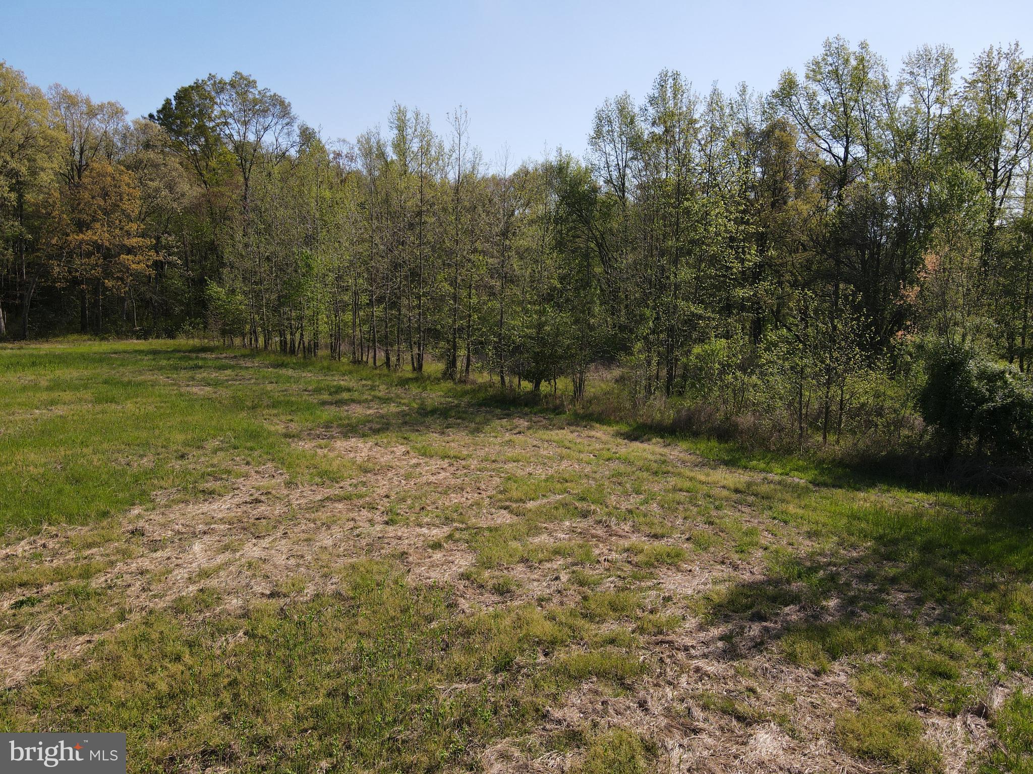 Wharton Road Goldsboro, MD 21636 - Photo 11 of 23 Gallery Image 11