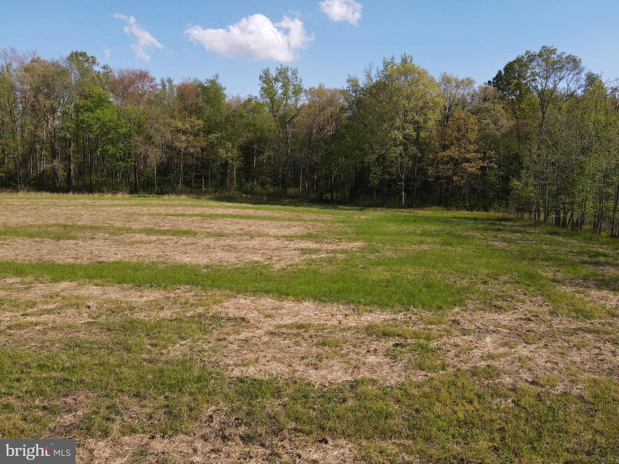 Wharton Road Goldsboro, MD 21636 - Photo 12 of 23 Gallery Image 12