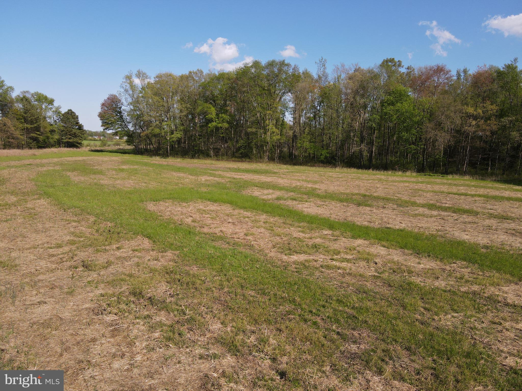 Wharton Road Goldsboro, MD 21636 - Photo 13 of 23 Gallery Image 13
