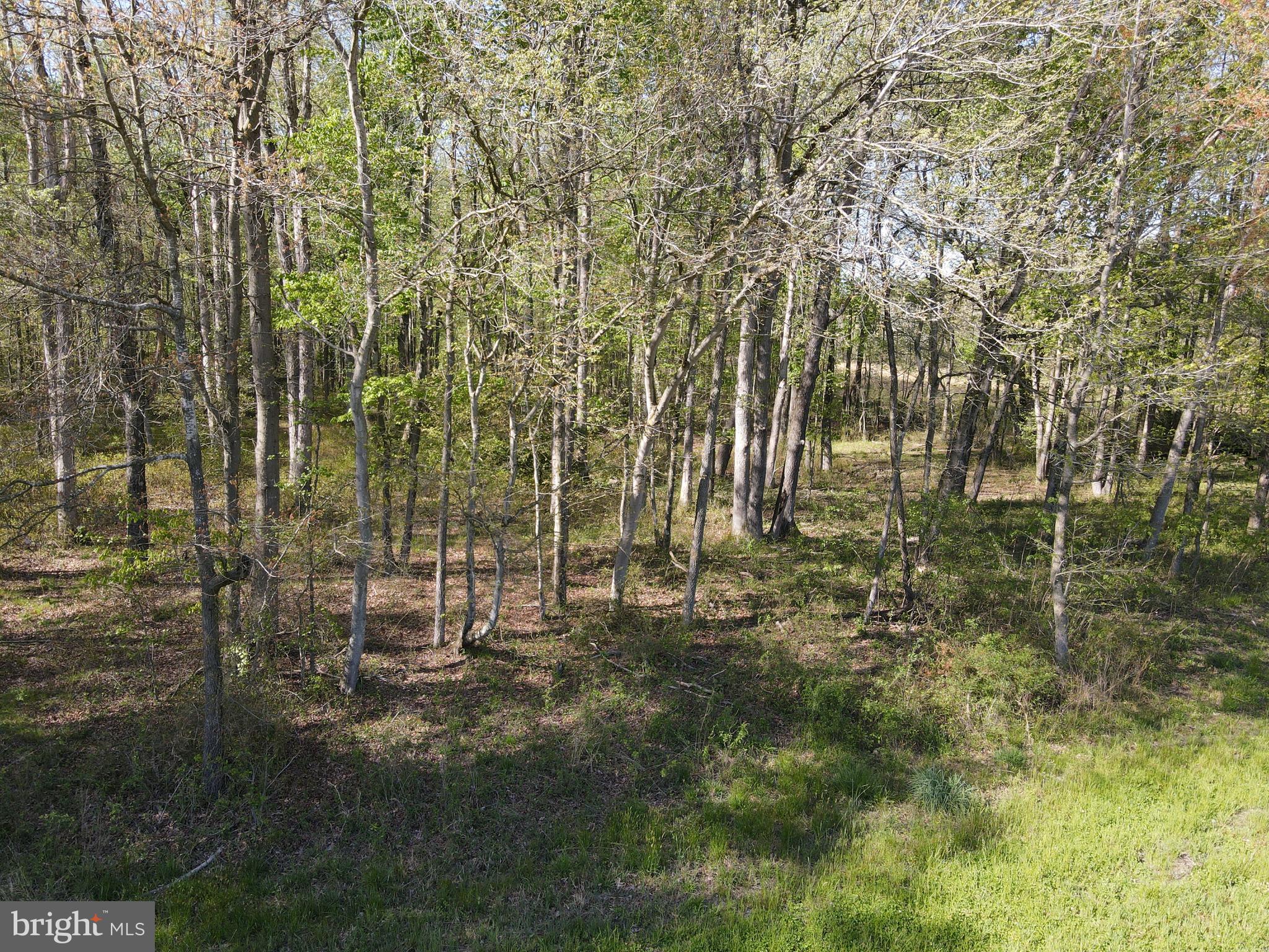 Wharton Road Goldsboro, MD 21636 - Photo 15 of 23 Gallery Image 15
