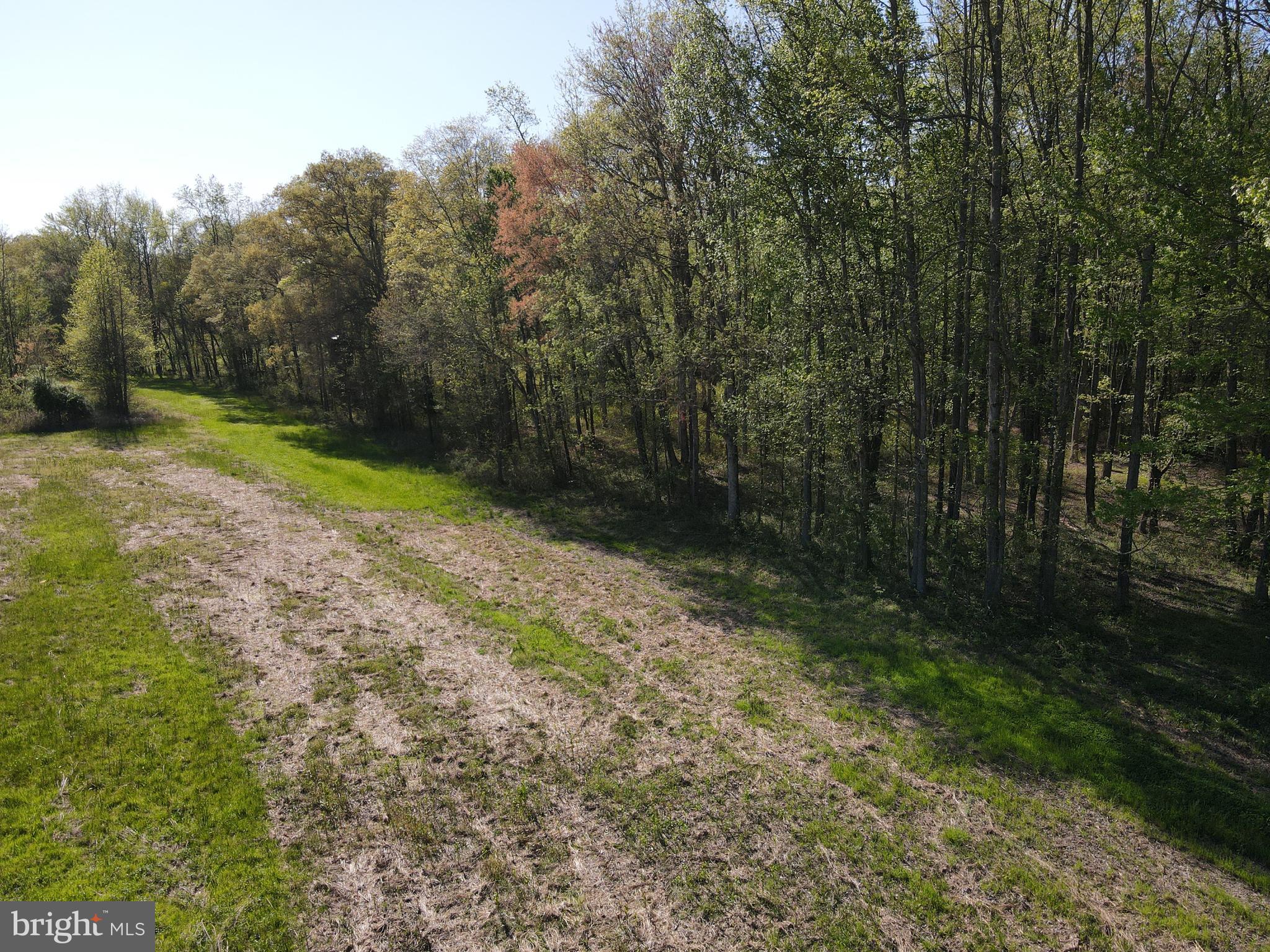 Wharton Road Goldsboro, MD 21636 - Photo 9 of 23 Gallery Image 9