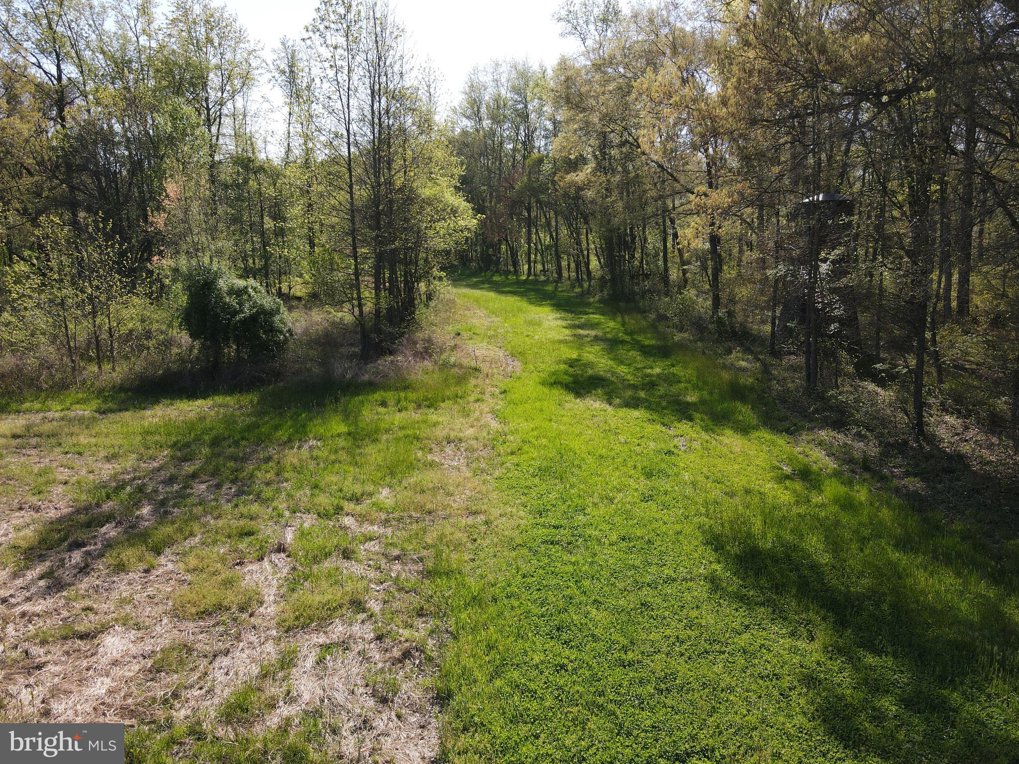 Wharton Road Goldsboro, MD 21636 - Photo 10 of 23 Gallery Image 10