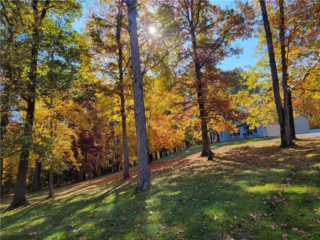 316 Stein Road Chicora, PA 16025 - Photo 39 of 41 a view of a tree with a yard