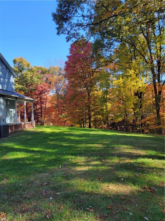 316 Stein Road Chicora, PA 16025 - Photo 40 of 41 a view of a house with a big yard