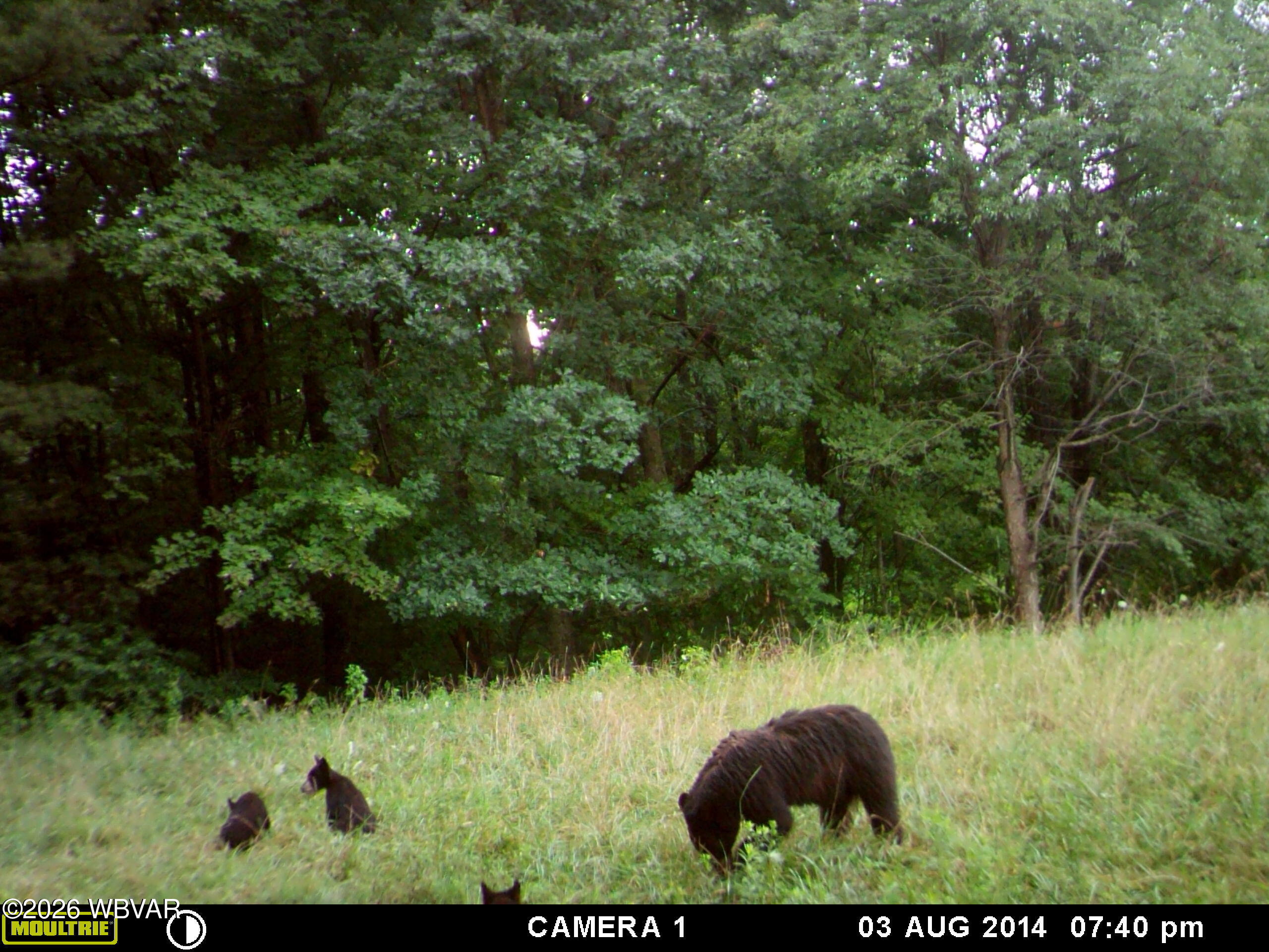 Iron Gate Road Beech Creek, PA 16822 - Photo 1 of 20 Gallery Image 1