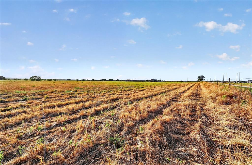 Tbd Tbd Prairie View Road Perrin, TX 76486 - Photo 25 of 26 Gallery Image 25