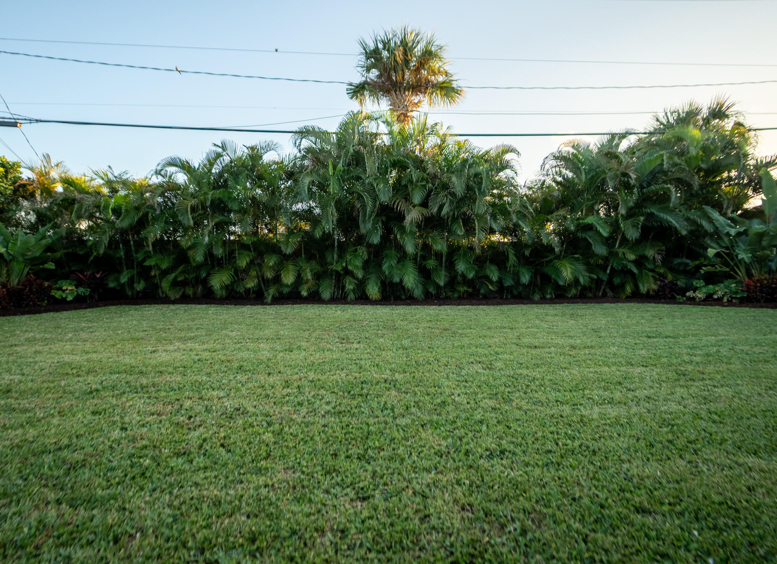 1014 Avon Road West Palm Beach, FL 33401 - Photo 46 of 50 1014AvonWPBbackyard-1