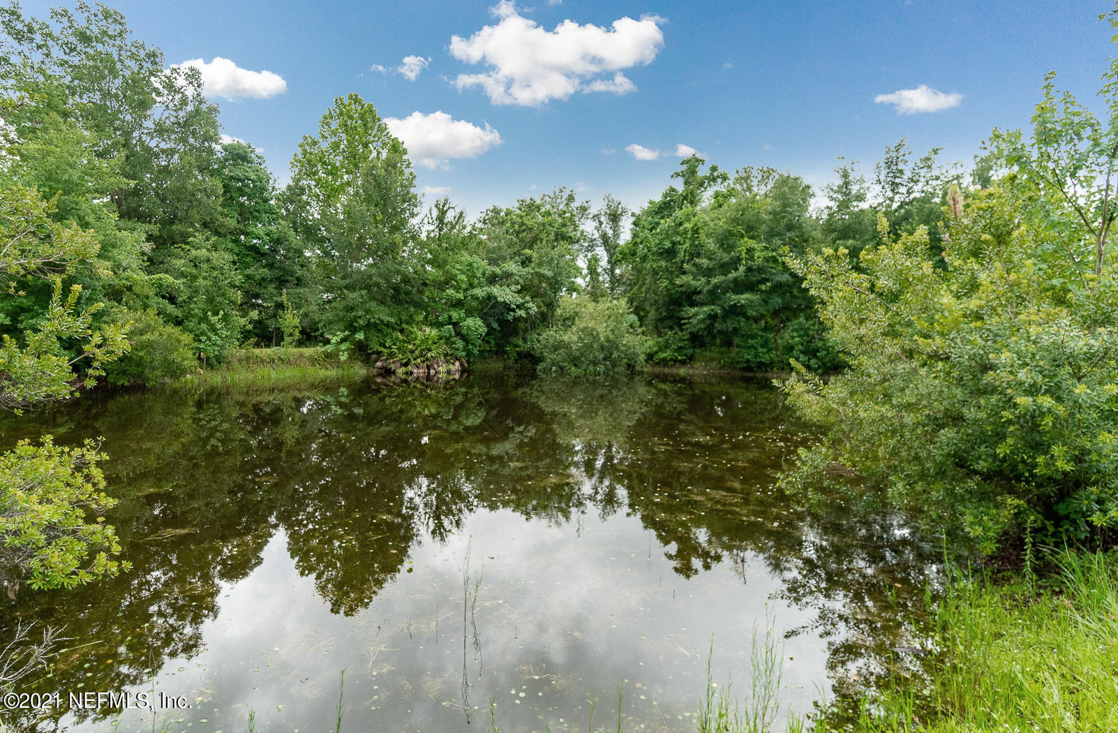 1325 Secret Cove Road Middleburg, FL 32068 - Photo 23 of 26 Ext Pond b