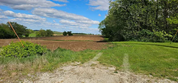 $206,000 | Tbd 331st Avenue, Harmony, MN 55939