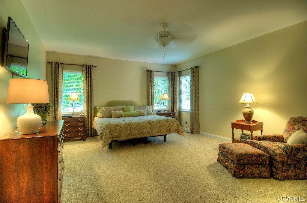 14500 Riverside Drive Ashland, VA 23005 - Photo 23 of 50 Gallery Image 23