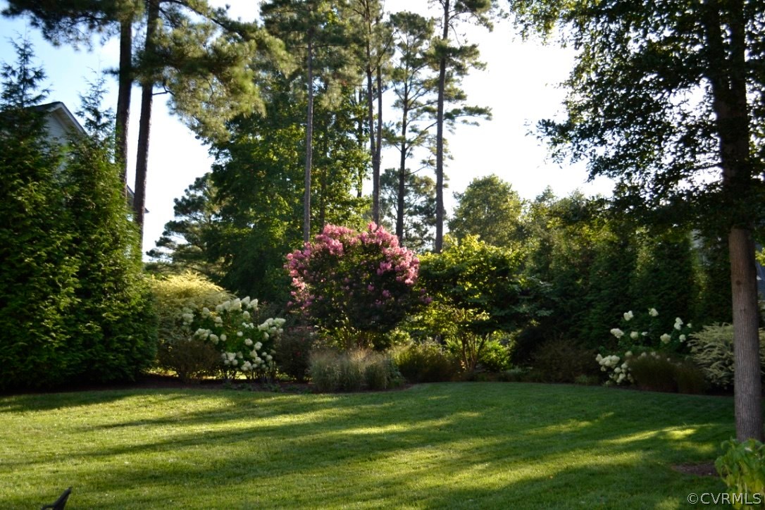14500 Riverside Drive Ashland, VA 23005 - Photo 45 of 50 Gallery Image 45