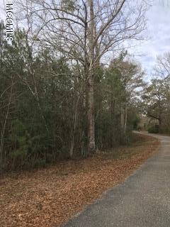 0 Chalk Road Carriere, MS 39426 - Photo 1 of 3 IMG_2026