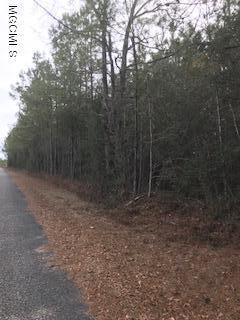 0 Chalk Road Carriere, MS 39426 - Photo 2 of 3 IMG_2027