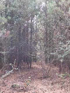 0 Chalk Road Carriere, MS 39426 - Photo 3 of 3 IMG_2028