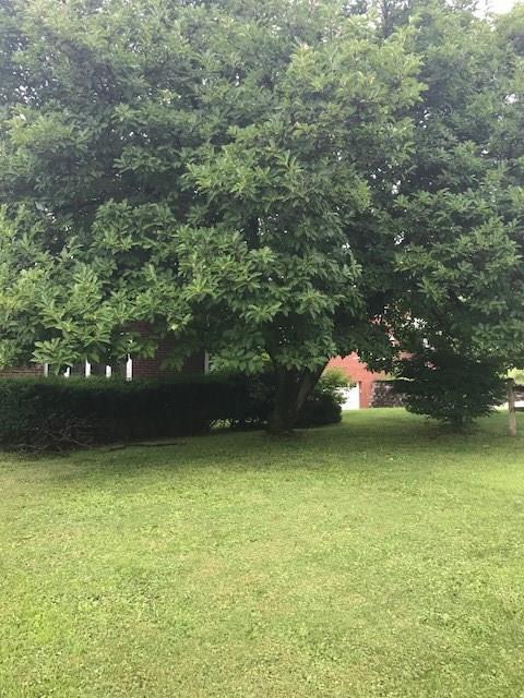 3711 Mt Troy Road Pittsburgh, PA 15212 - Photo 2 of 21 Front Yard View