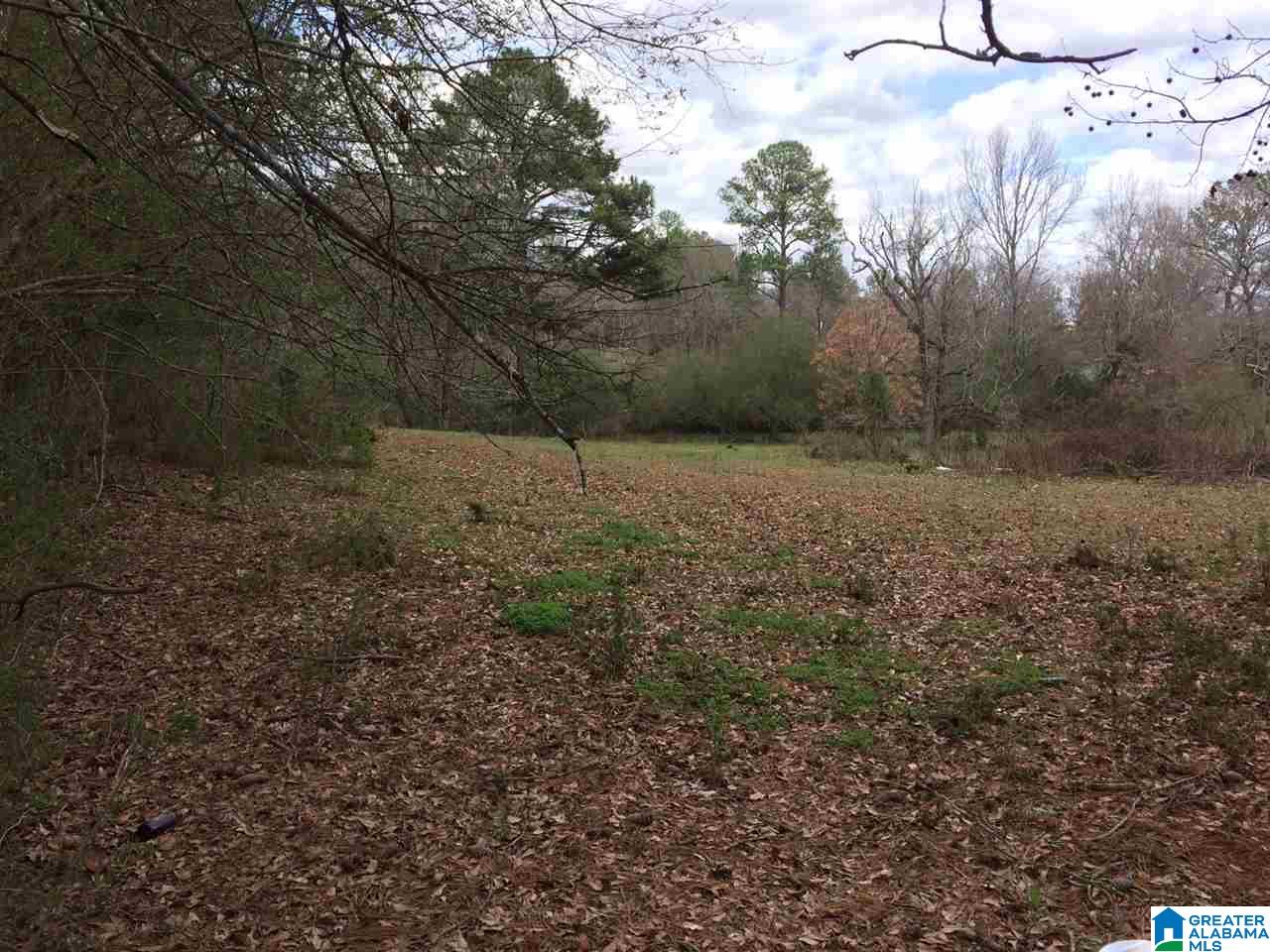 769 Chandler Mountain Road Steele, AL 35987 - Photo 40 of 41