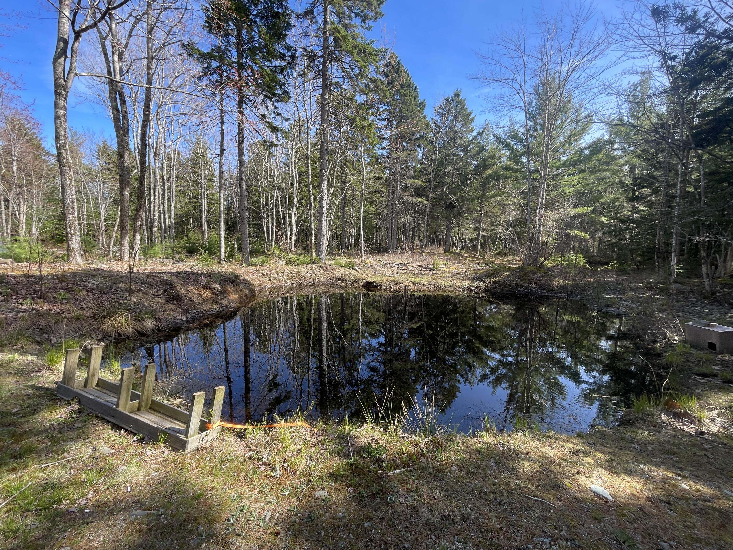 364 Old County Road Brooklin, ME 04616 - Photo 23 of 29 IMG_3939