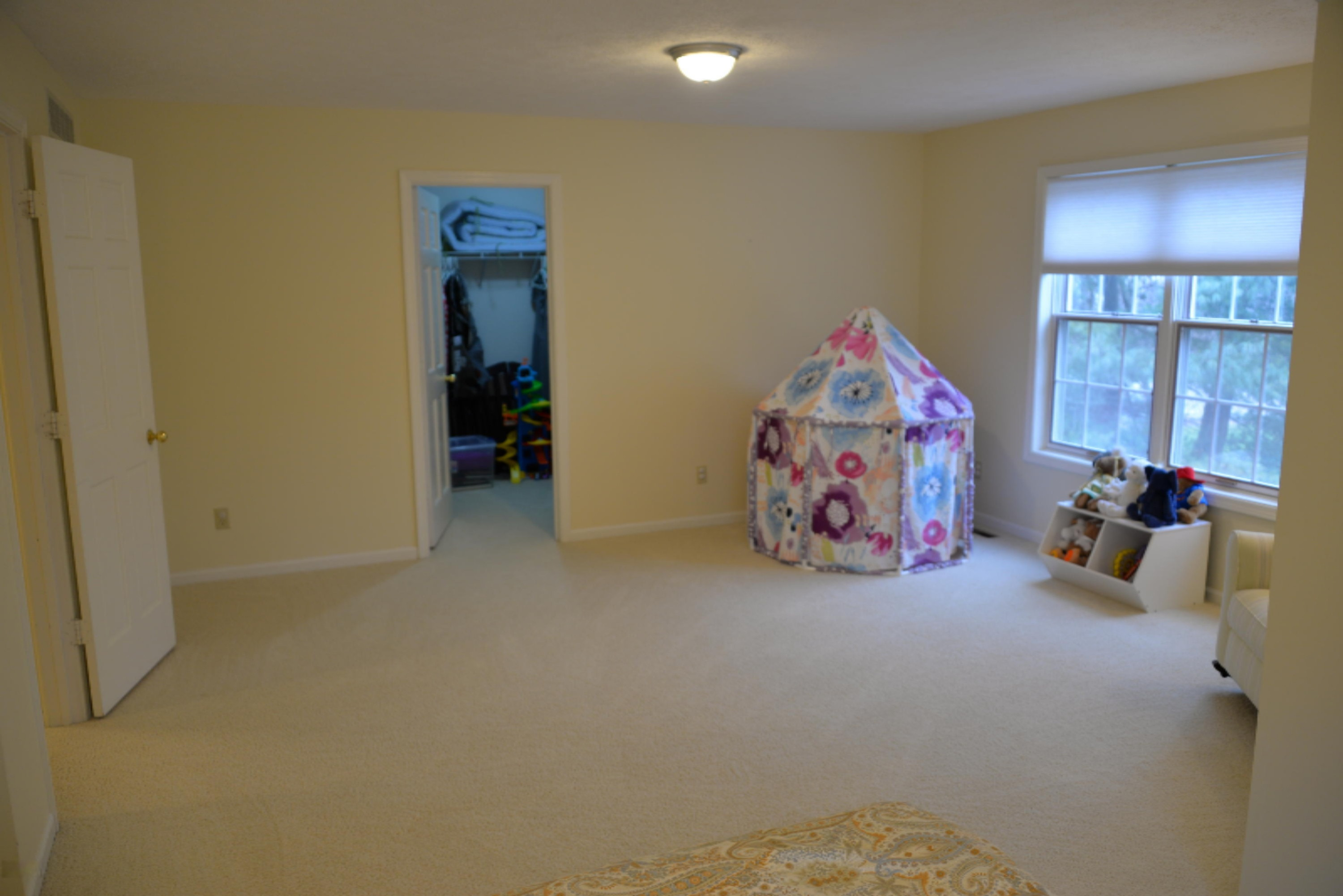 5308 North Alpine Ridge Stevensville, MI 49127 - Photo 42 of 48 AAE_6109
