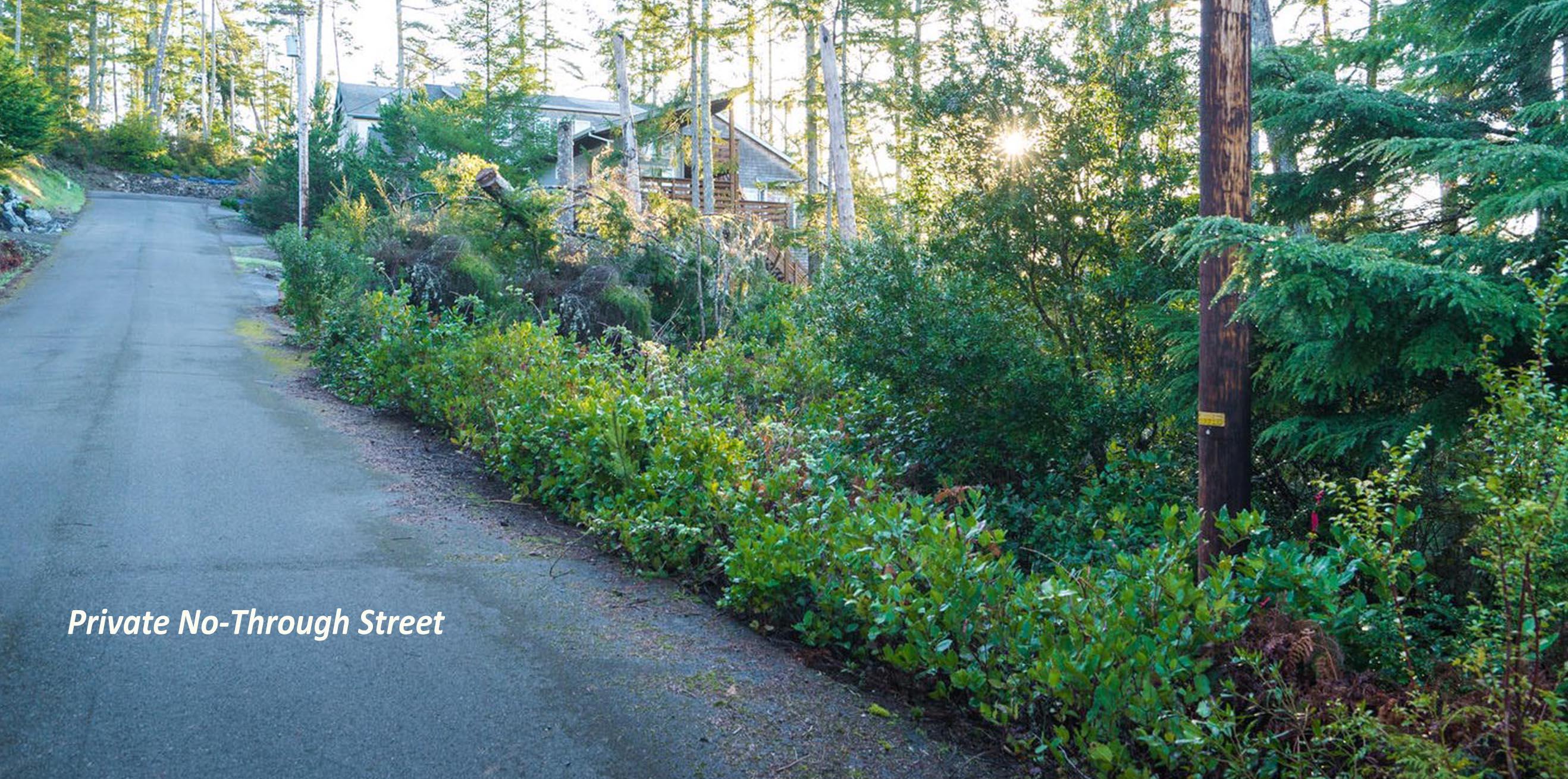 19th Street Manzanita, OR 97130 - Photo 5 of 14 Lots 6 and 7 Private street