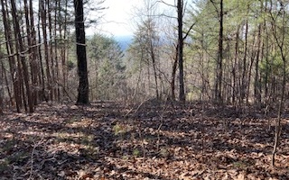 Lt711 Railey Ridge Ranger, GA 30734 - Photo 1 of 4 Main View