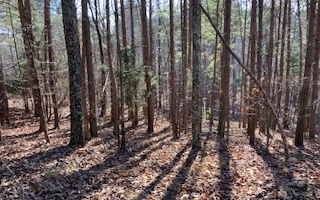 Lt711 Railey Ridge Ranger, GA 30734 - Photo 4 of 4 Additional View