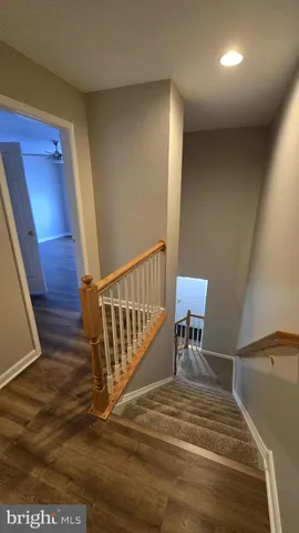 a view of a hallway with wooden floor and a potted plant