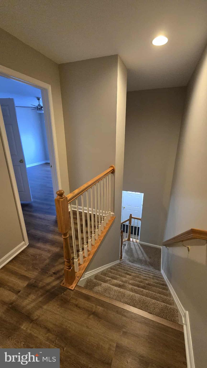 511 National Avenue Winchester, VA 22601 - Photo 9 of 10 a view of a hallway with wooden floor and a potted plant