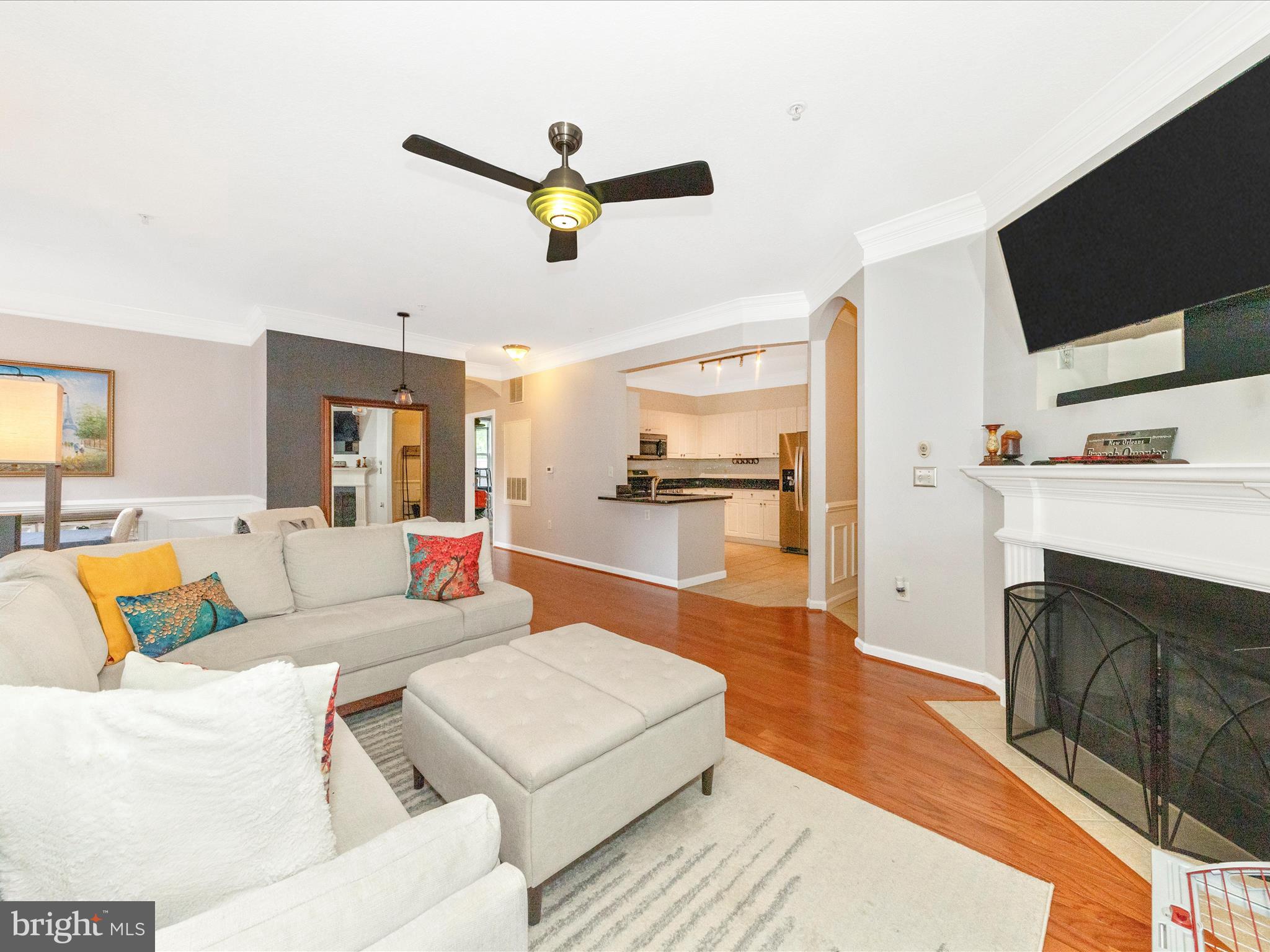 7 Booth Street, Unit 201 Gaithersburg, MD 20878 - Photo 5 of 67 a living room with furniture and a fireplace