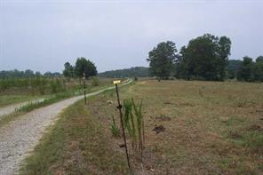 3562 Love Road Claremont, NC 28610 - Photo 4 of 7 Gallery Image 4