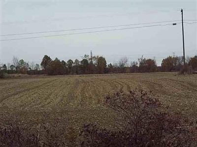 6059 East Dodge Road Mount Morris, MI 48458 - Photo 1 of 1 20305775.JPG