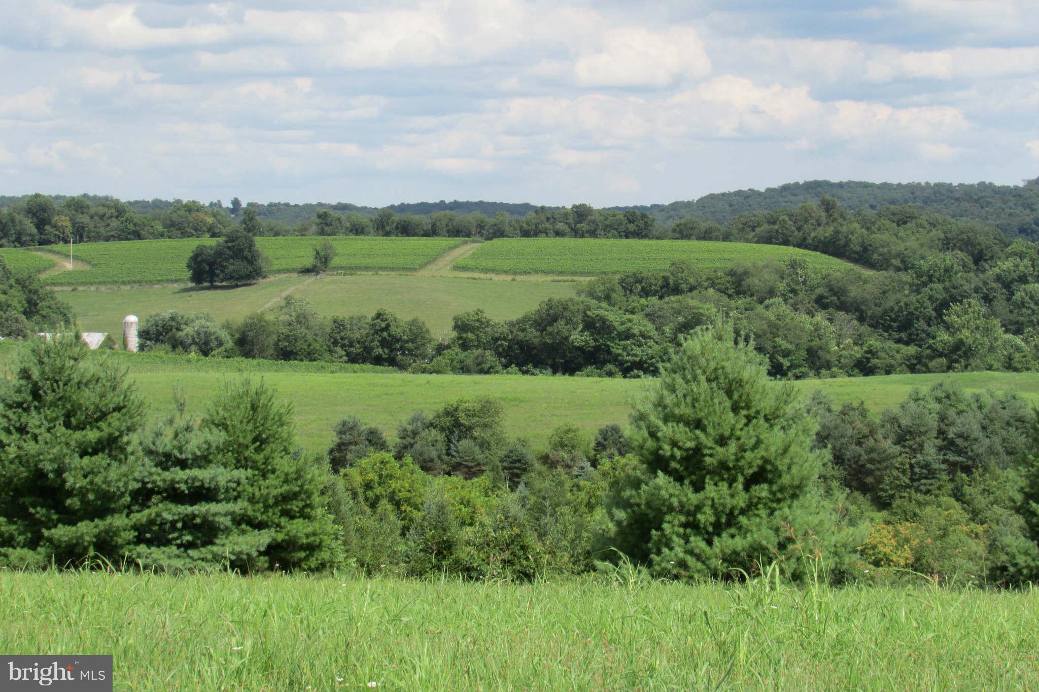 8231 Talbot Run Road Mount Airy, MD 21771 - Photo 1 of 13 View to east close up
