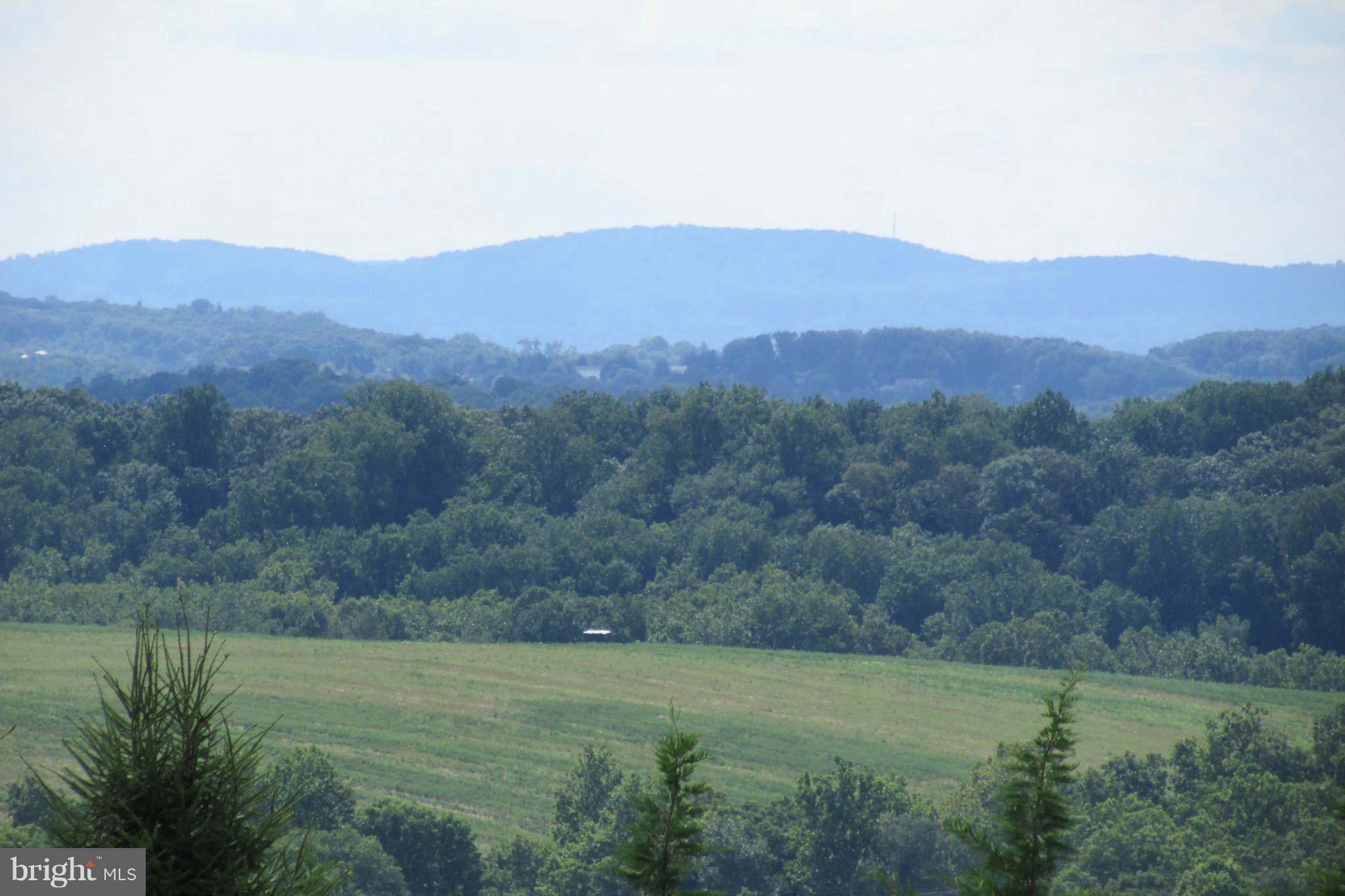 8231 Talbot Run Road Mount Airy, MD 21771 - Photo 2 of 13 View to west - close up