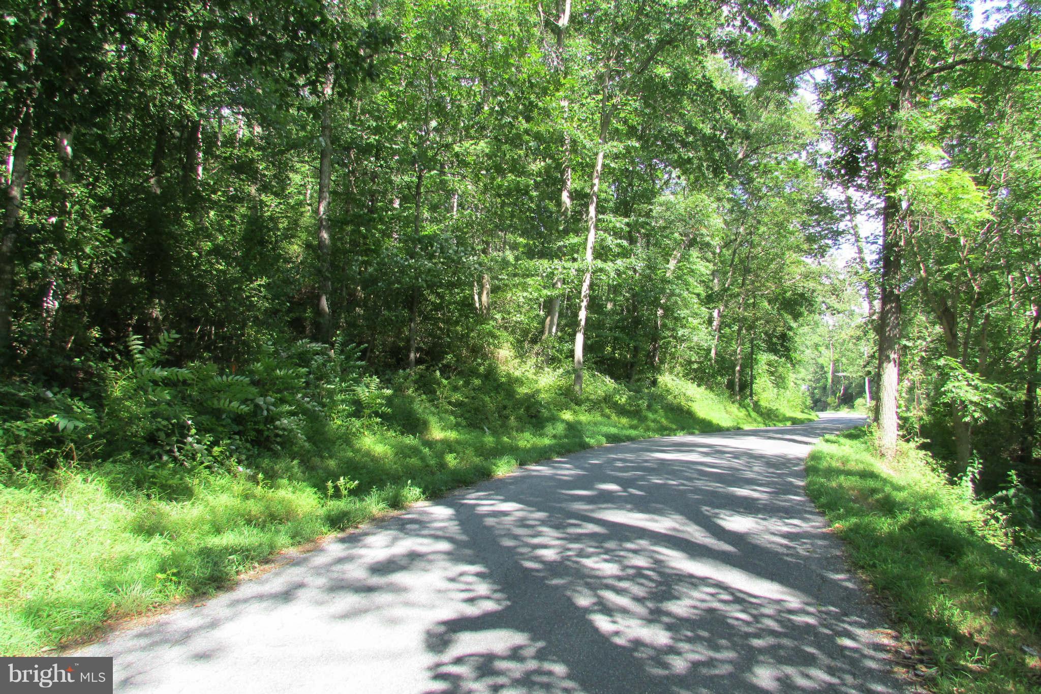 8231 Talbot Run Road Mount Airy, MD 21771 - Photo 12 of 13 Talbot Run Road - near entrance to property