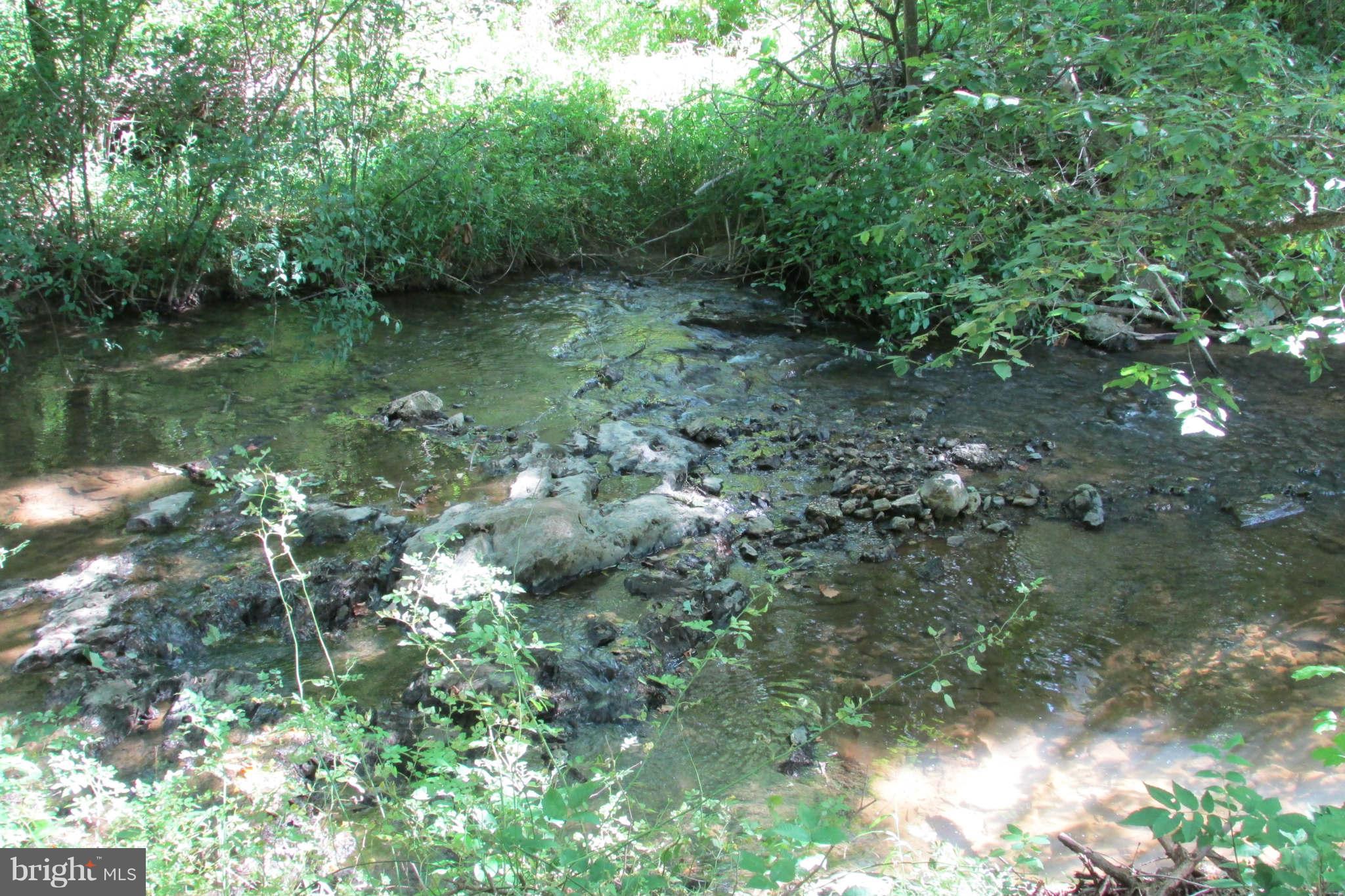 8231 Talbot Run Road Mount Airy, MD 21771 - Photo 13 of 13 Talbot Run Creek (adjacent to property)