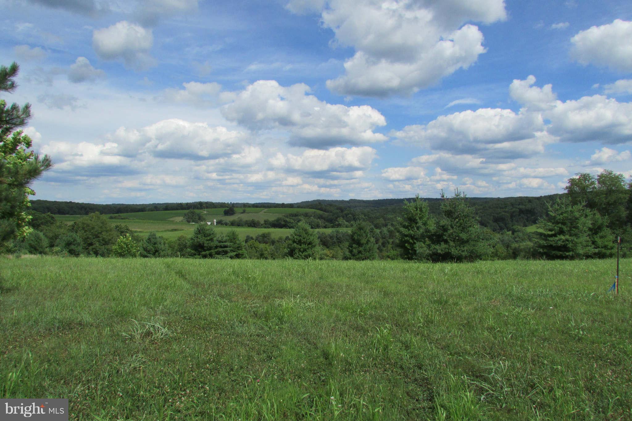 8231 Talbot Run Road Mount Airy, MD 21771 - Photo 3 of 13 View to east