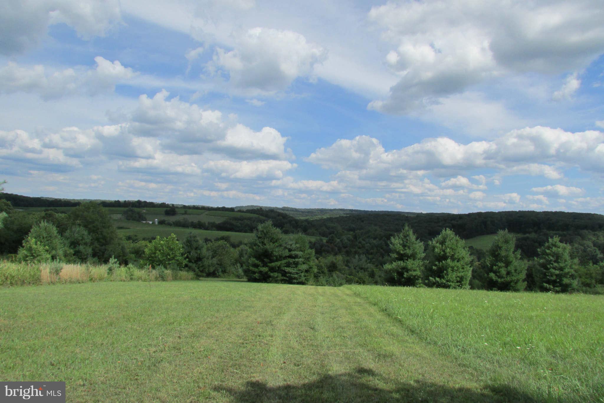 8231 Talbot Run Road Mount Airy, MD 21771 - Photo 4 of 13 View to east 2