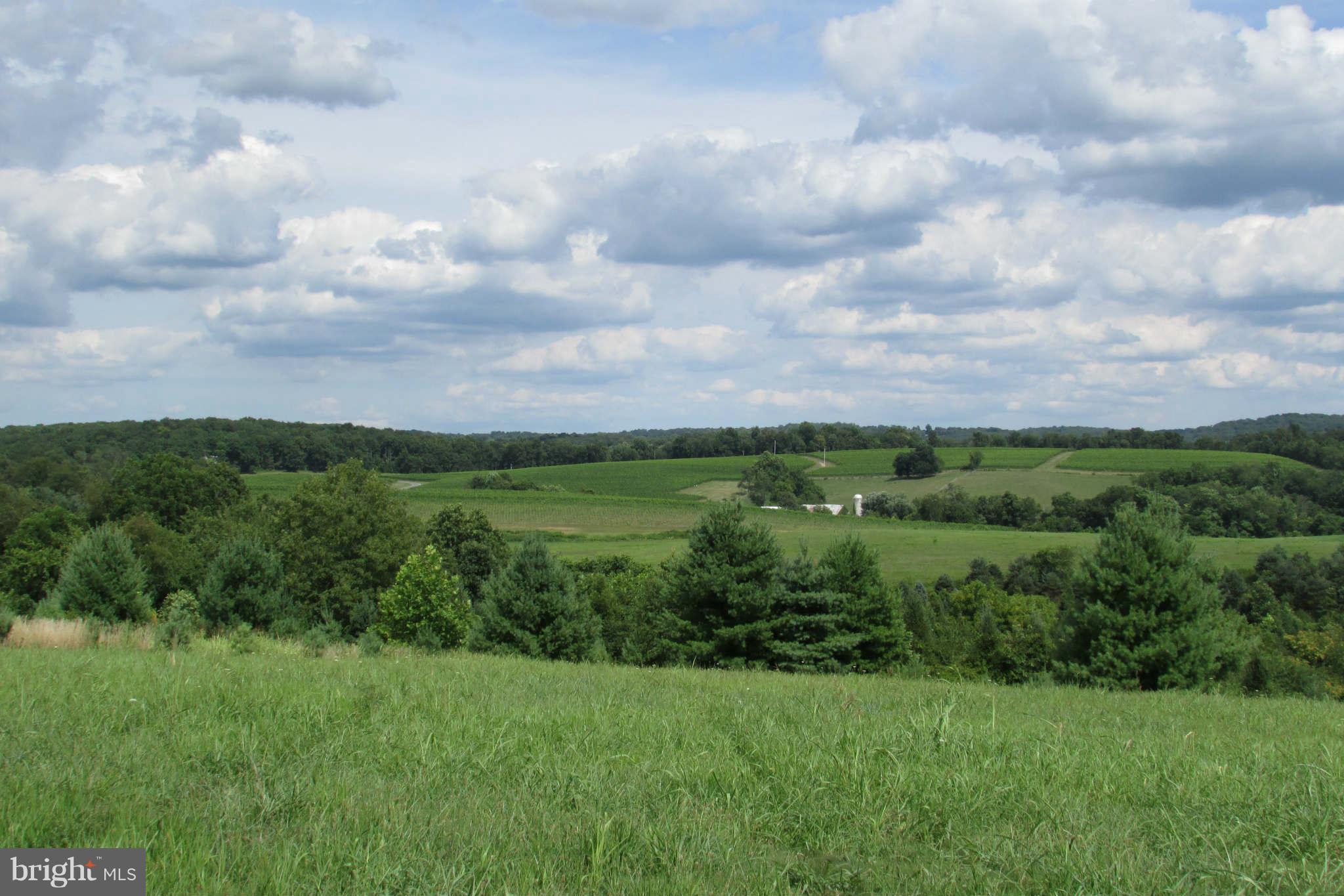 8231 Talbot Run Road Mount Airy, MD 21771 - Photo 5 of 13 View to east mid range