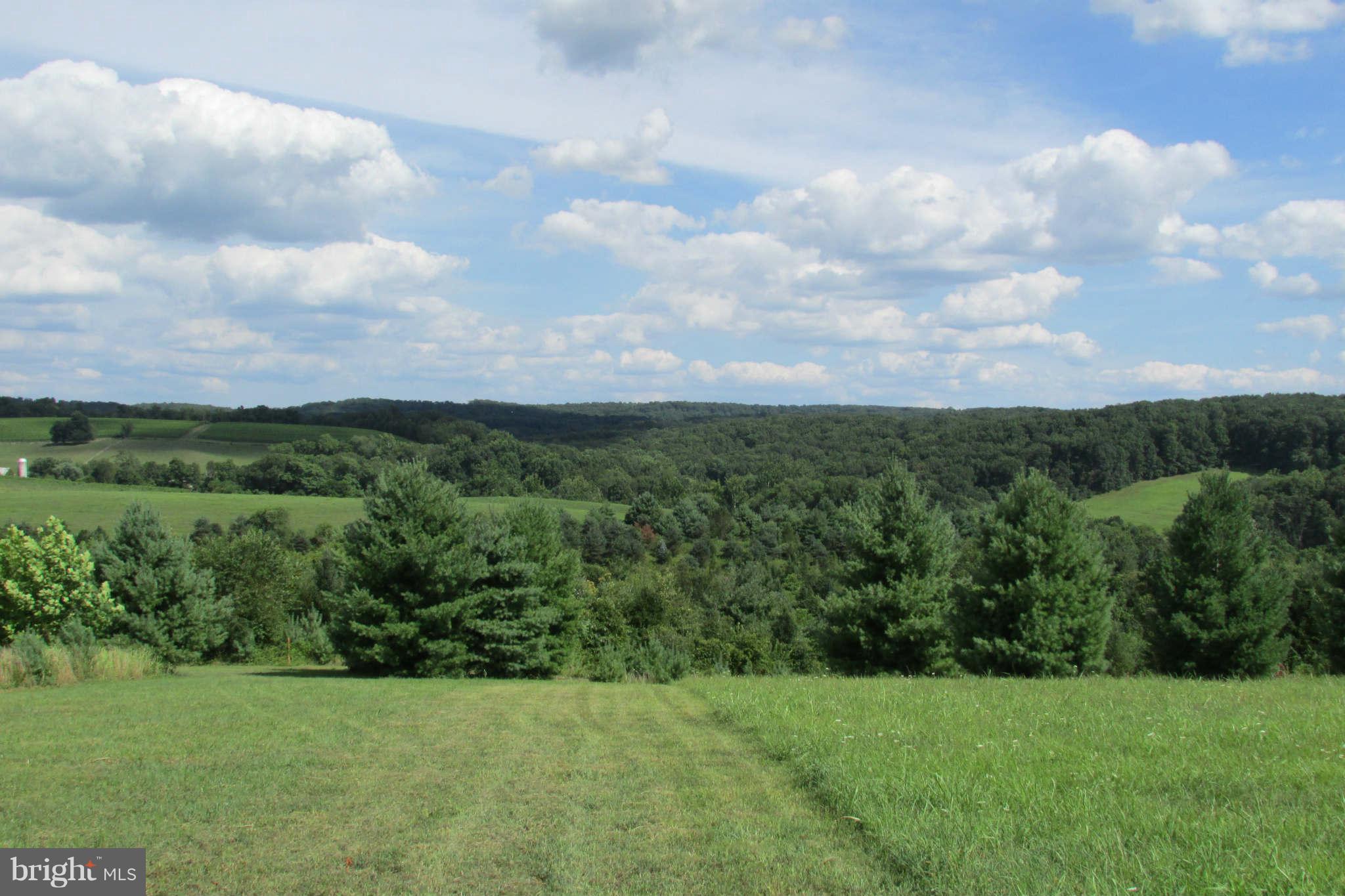 8231 Talbot Run Road Mount Airy, MD 21771 - Photo 6 of 13 view to east mid range 2