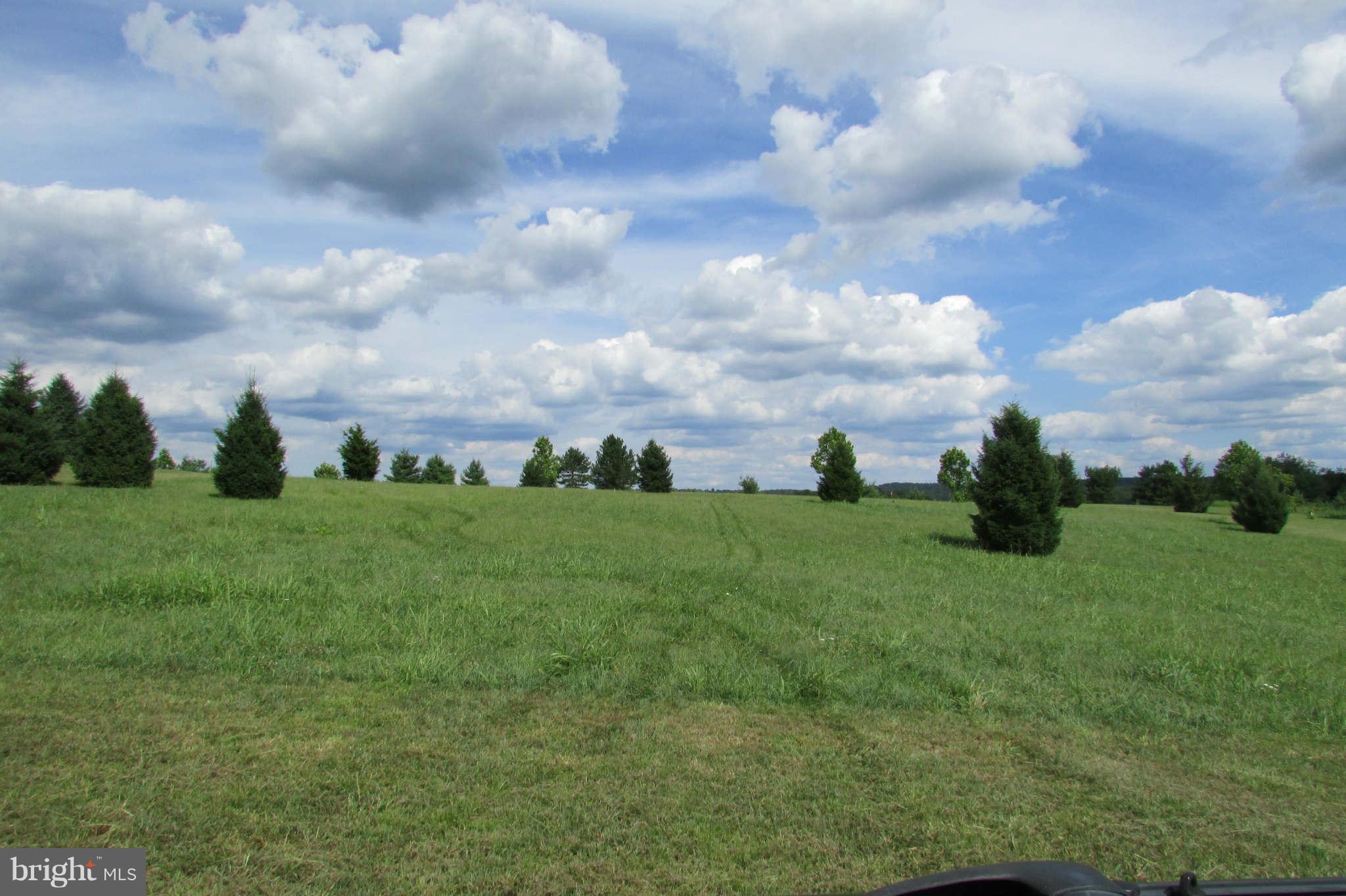8231 Talbot Run Road Mount Airy, MD 21771 - Photo 7 of 13 home site - cleared portion of property