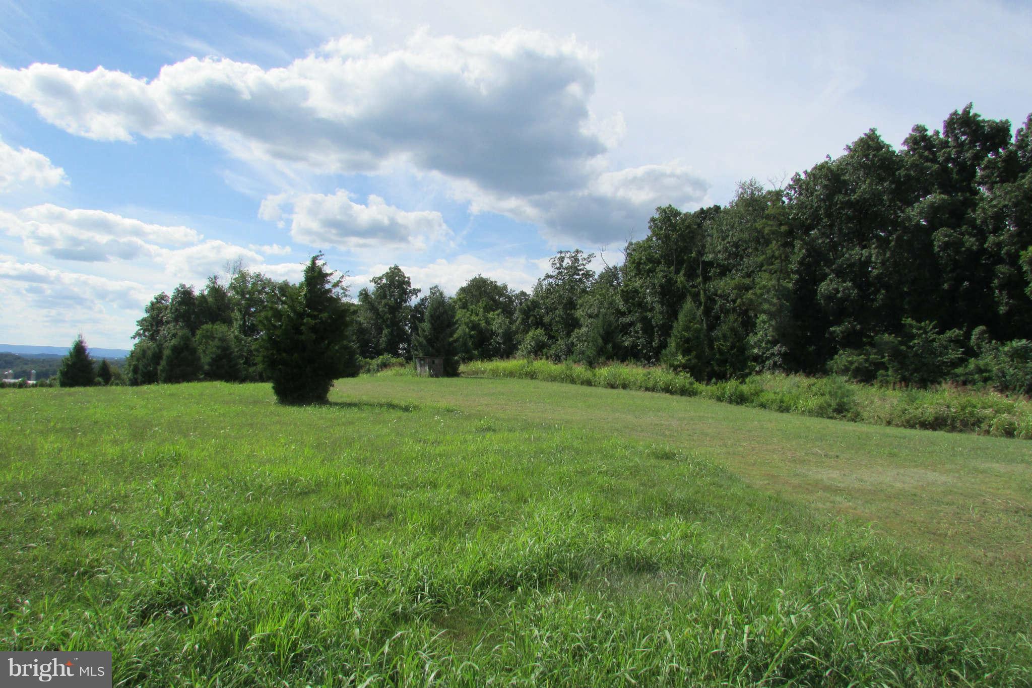 8231 Talbot Run Road Mount Airy, MD 21771 - Photo 8 of 13 rear boundary of property