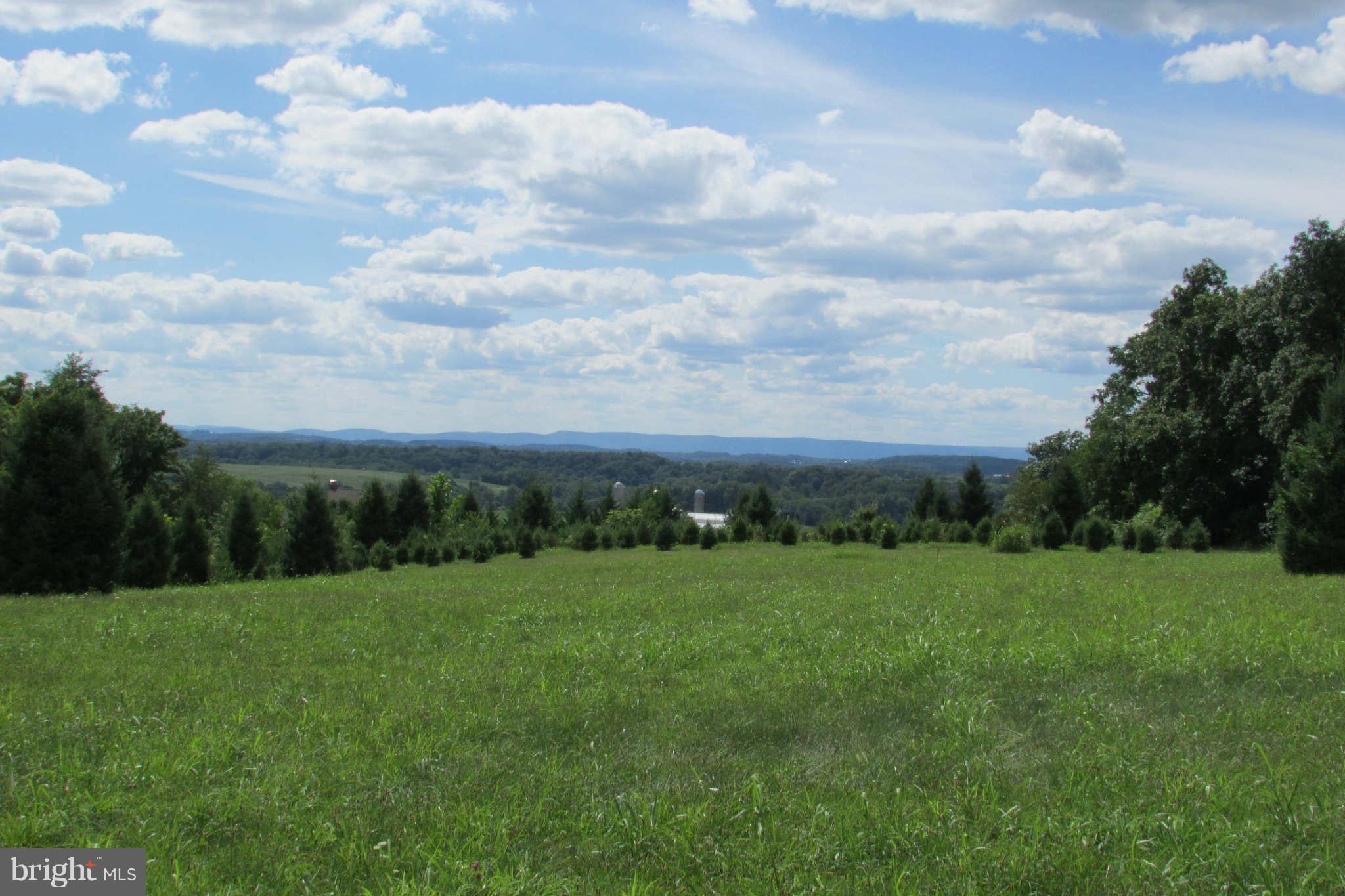 8231 Talbot Run Road Mount Airy, MD 21771 - Photo 9 of 13 view to west from home site